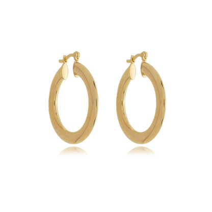Essential Hoops Gold