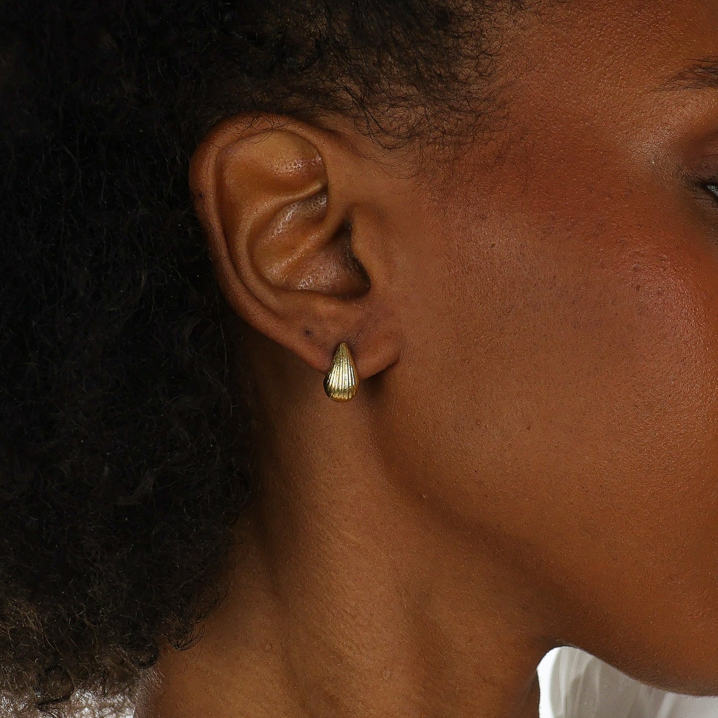 Mini Seashell Teardrop Earring Gold