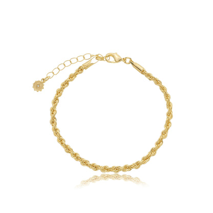Thick Classic Rope Chain Gold / 6"