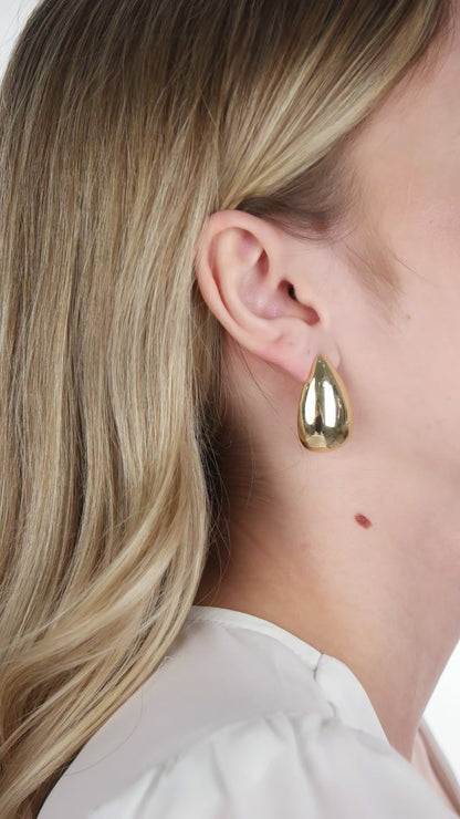 Elegant Teardroop Earrings