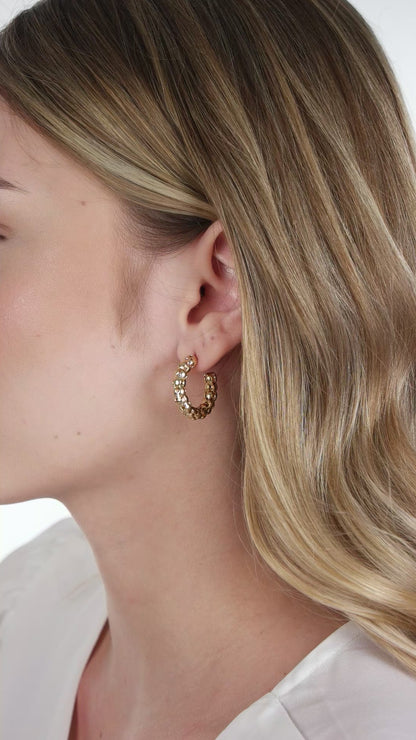 Small Reef Radiance Hoops